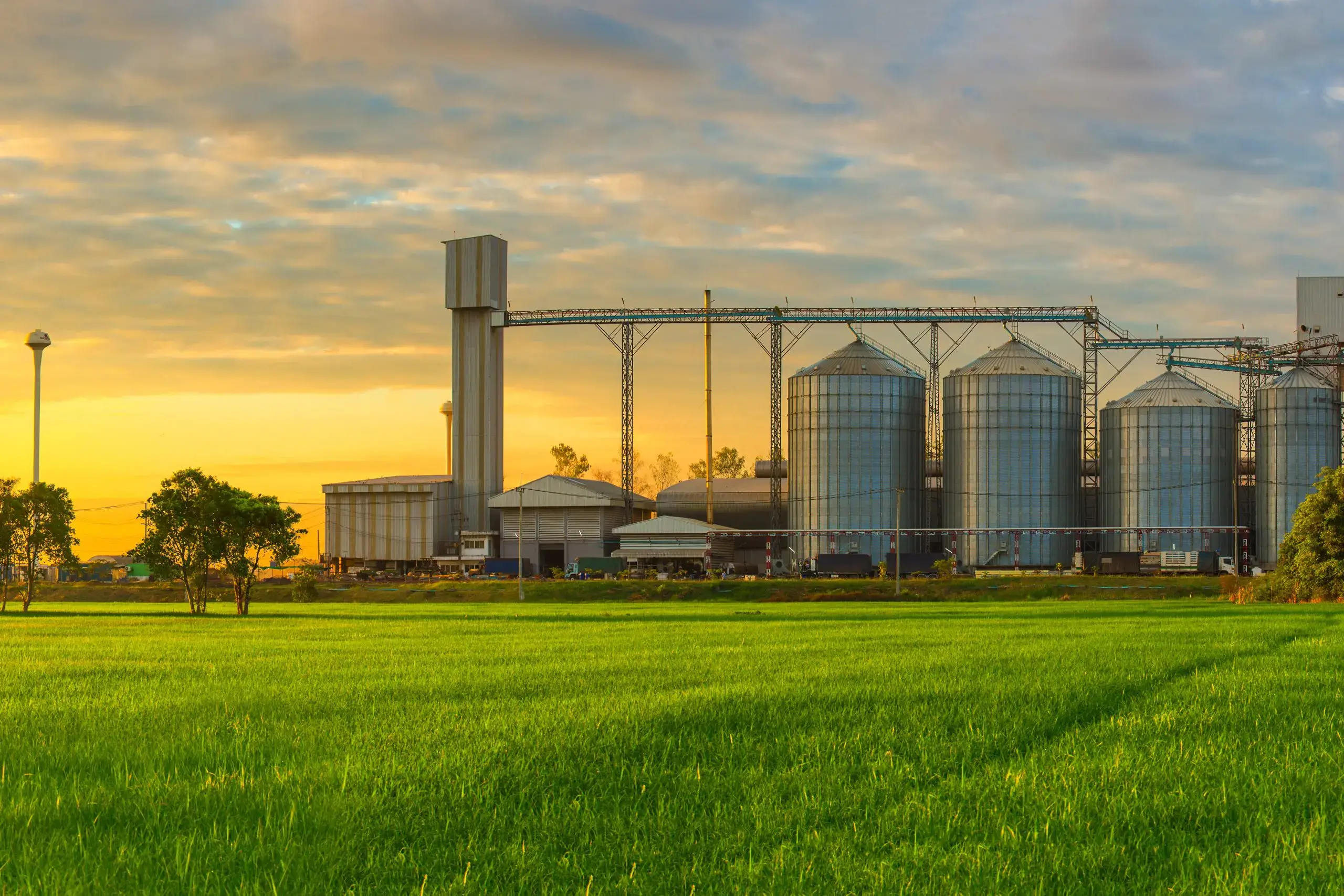 Businesses that need Kosher Certification